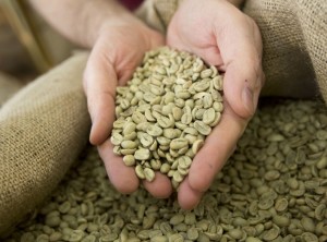 benefici del caffè verde cibo crudo
