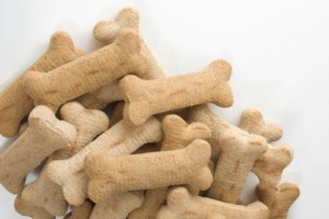 Biscotti-per-cani-mele